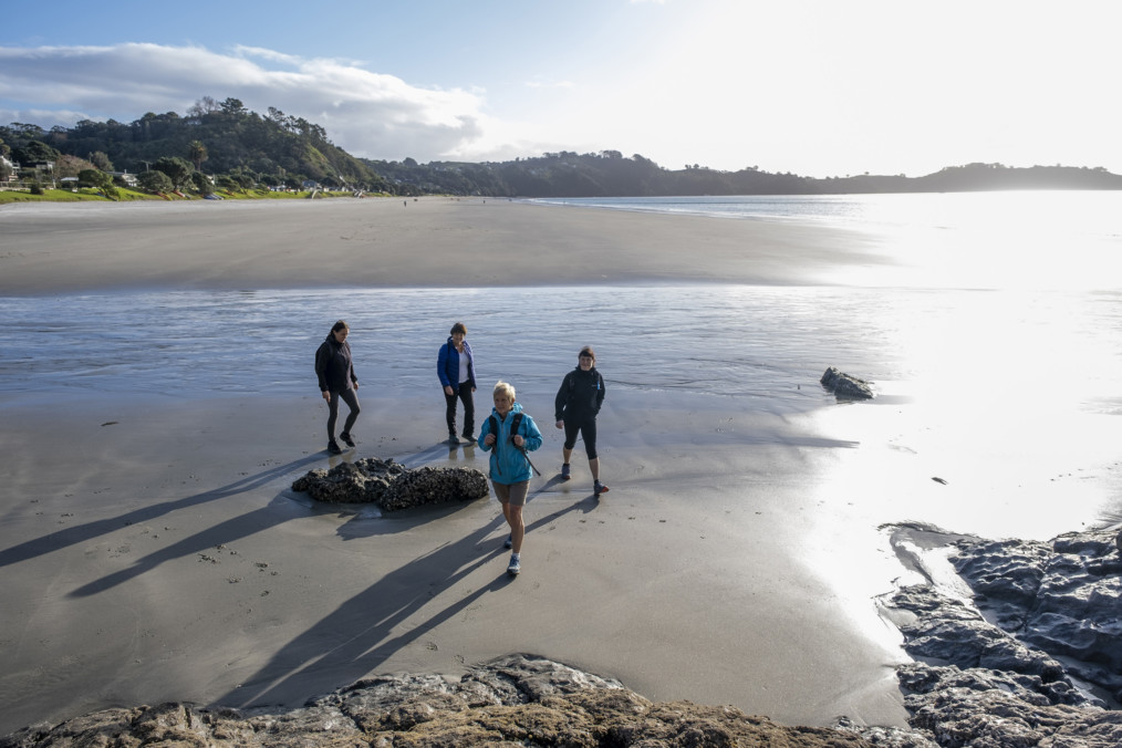Waiheke Island Touring Waiheke Private Tours Terra & Tide