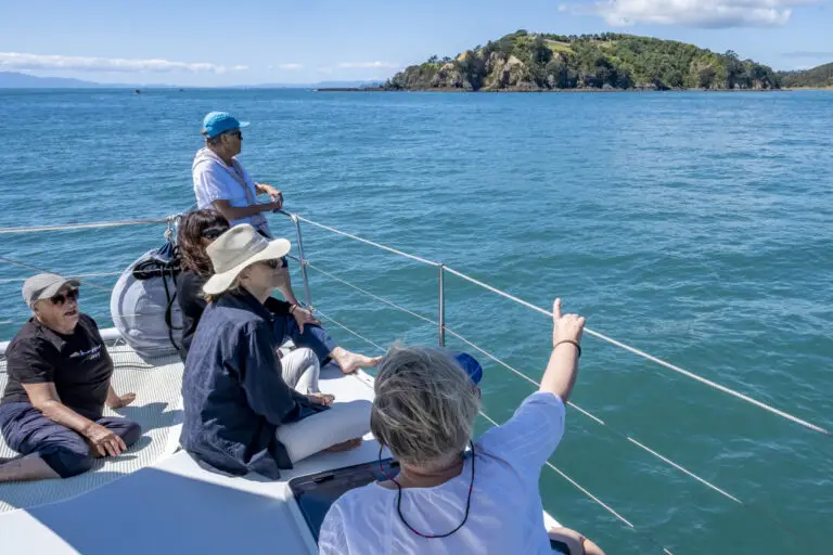America's Cup watching tours start this month