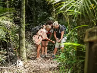 Guide explains local fauna to forest walk guests