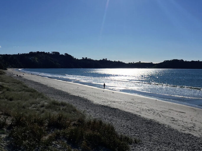 Beach on Waiheke Island