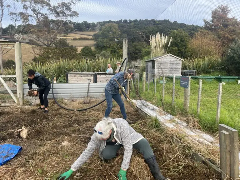 Our Commitment to the Environment