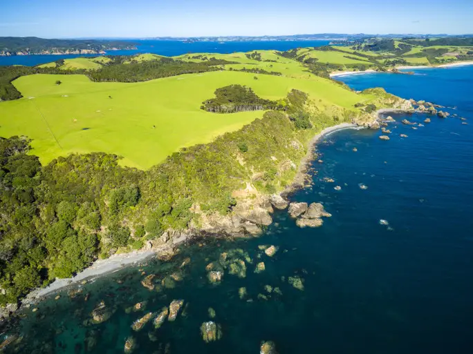 Tawharanui Regional Park, Matakana Coast, Auckland