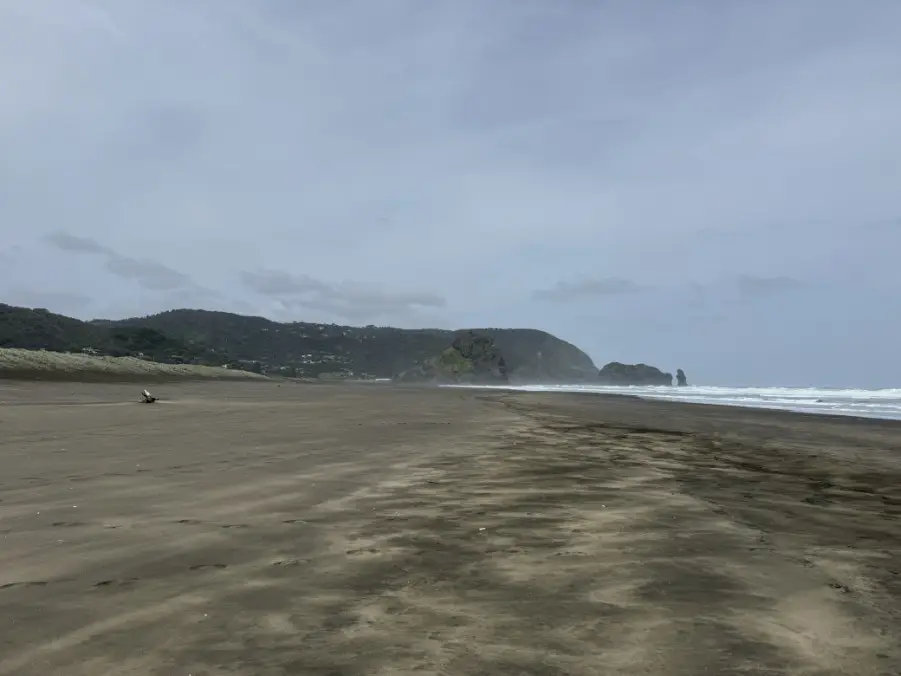 Piha Beach view