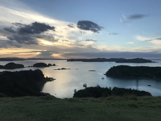 Top Things to Do in the Bay of Islands: A Guide to the Best Day Attractions