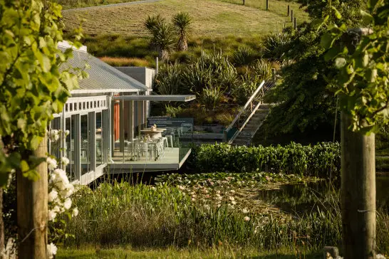 Top Things to Do in Matakana - 10+ Experiences You'll Love