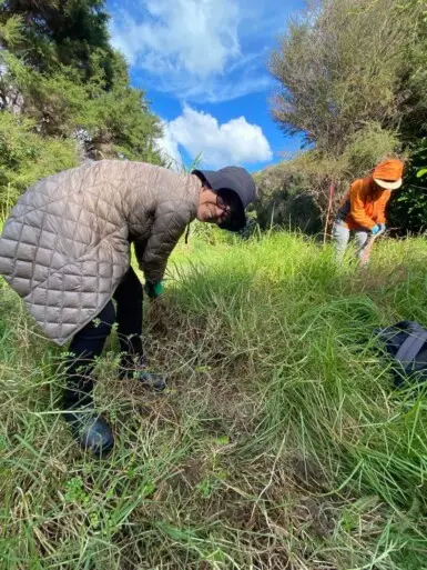 Tree planting group Education NZ 2