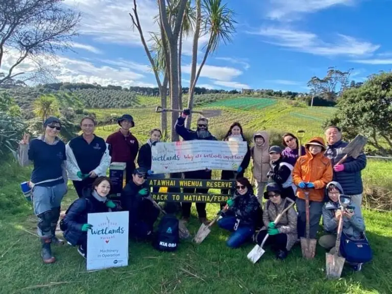 120 trees donated by Terra and Tide to Love our Wetlands Waiheke