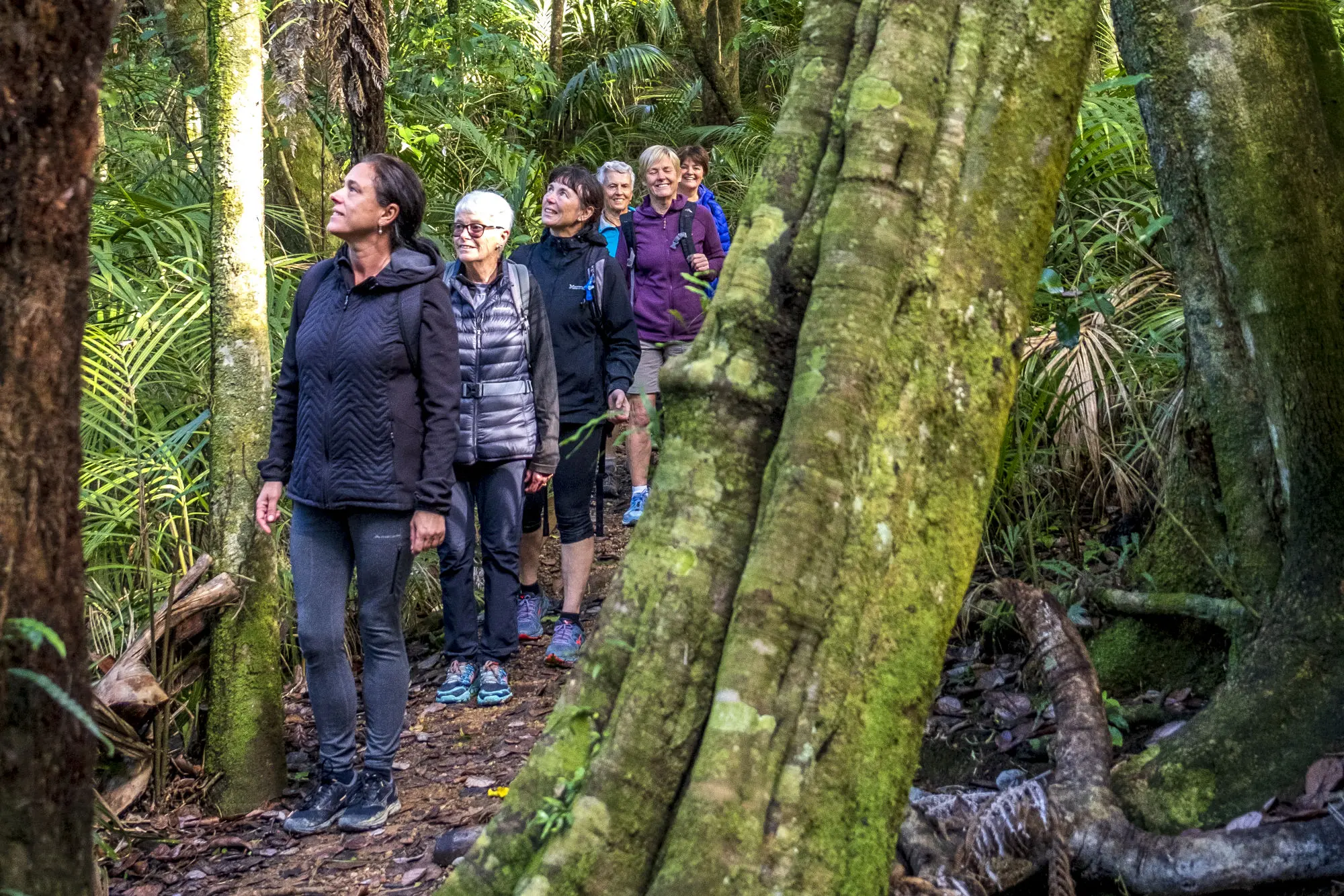 Walking on Waiheke Island: Discover the Island One Step at a Time