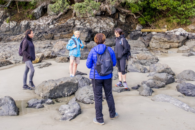 Waiheke guided walk