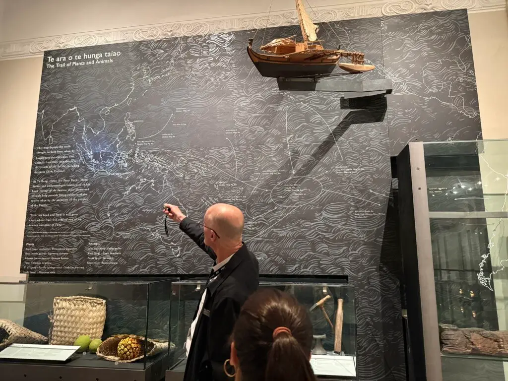Behind the scenes at Auckland Museum on a private Auckland guided tour with Terra & Tide