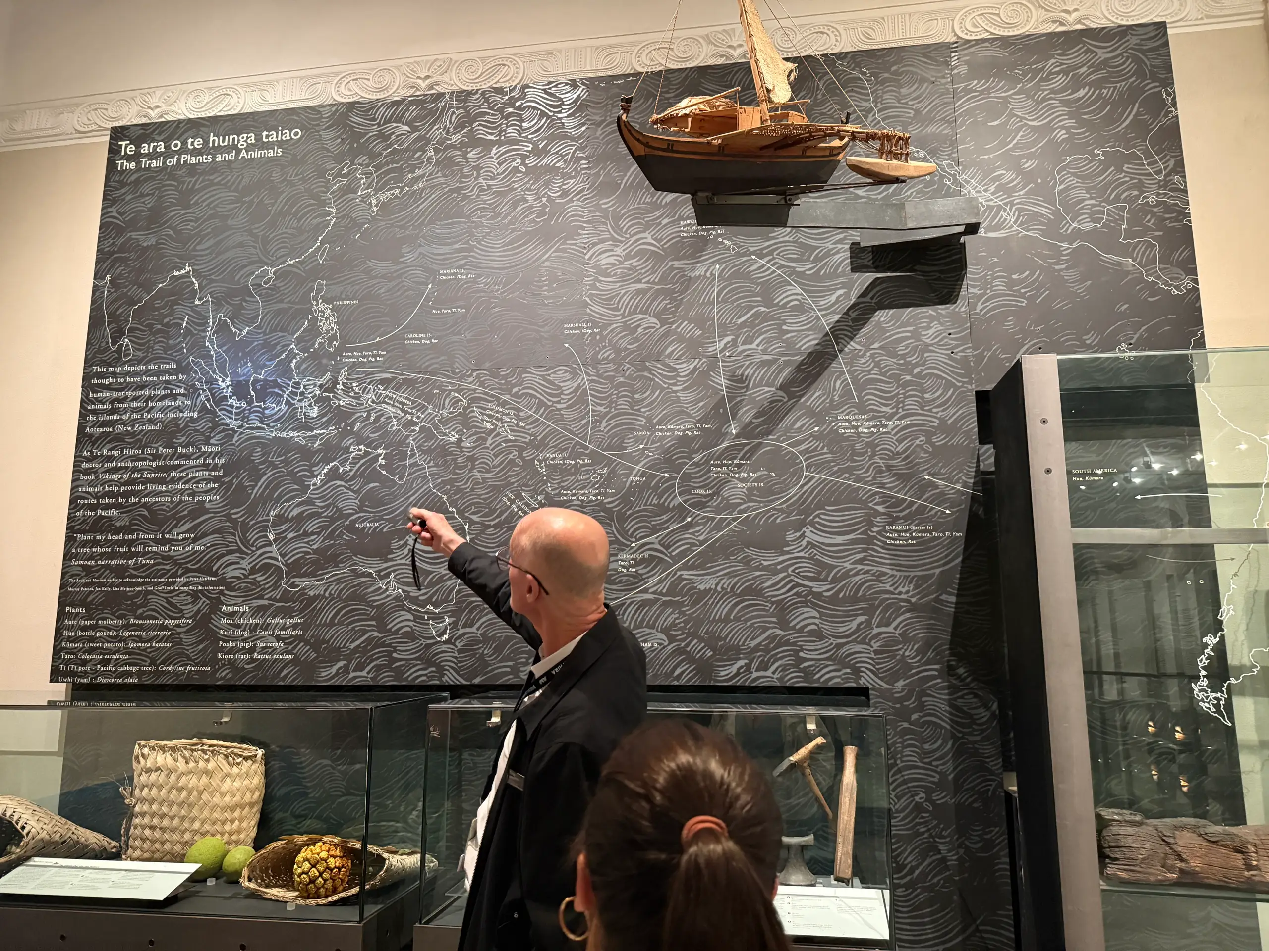 Behind the scenes at Auckland Museum on a private Auckland guided tour with Terra & Tide