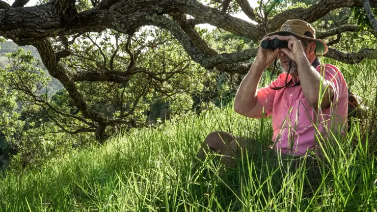 Birdwatcher on a private Waiheke birding tour with Terra & Tide