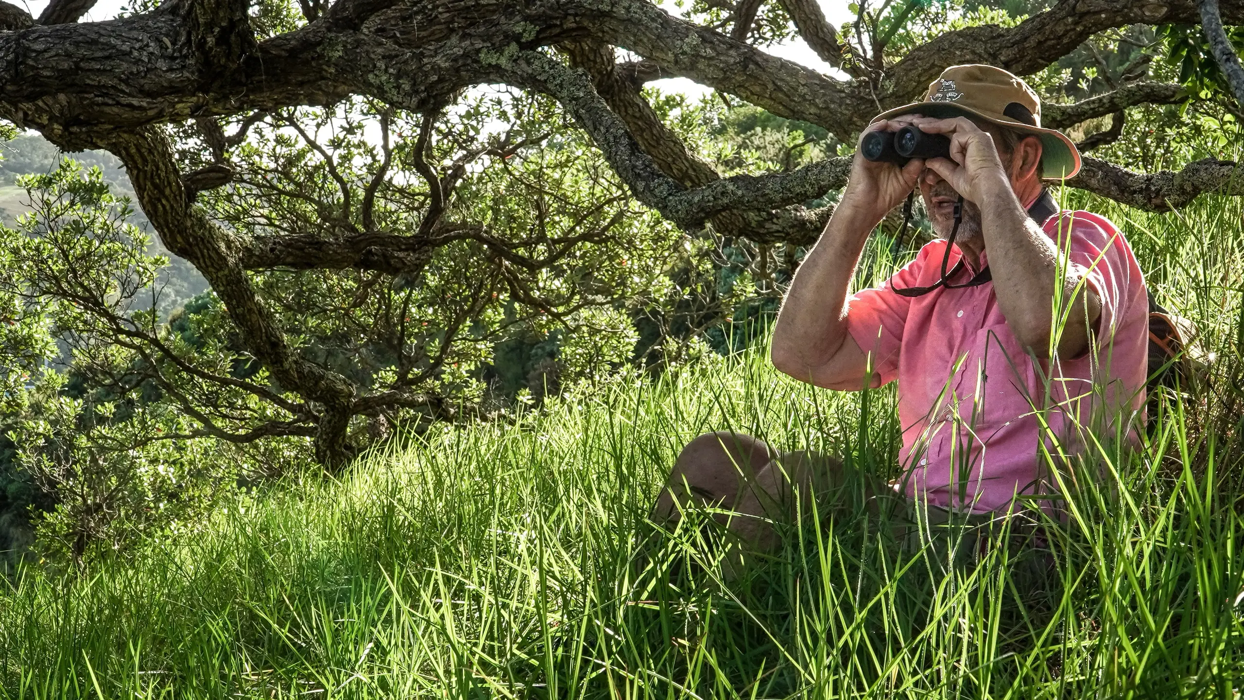 Birdwatcher on a private Waiheke birding tour with Terra & Tide