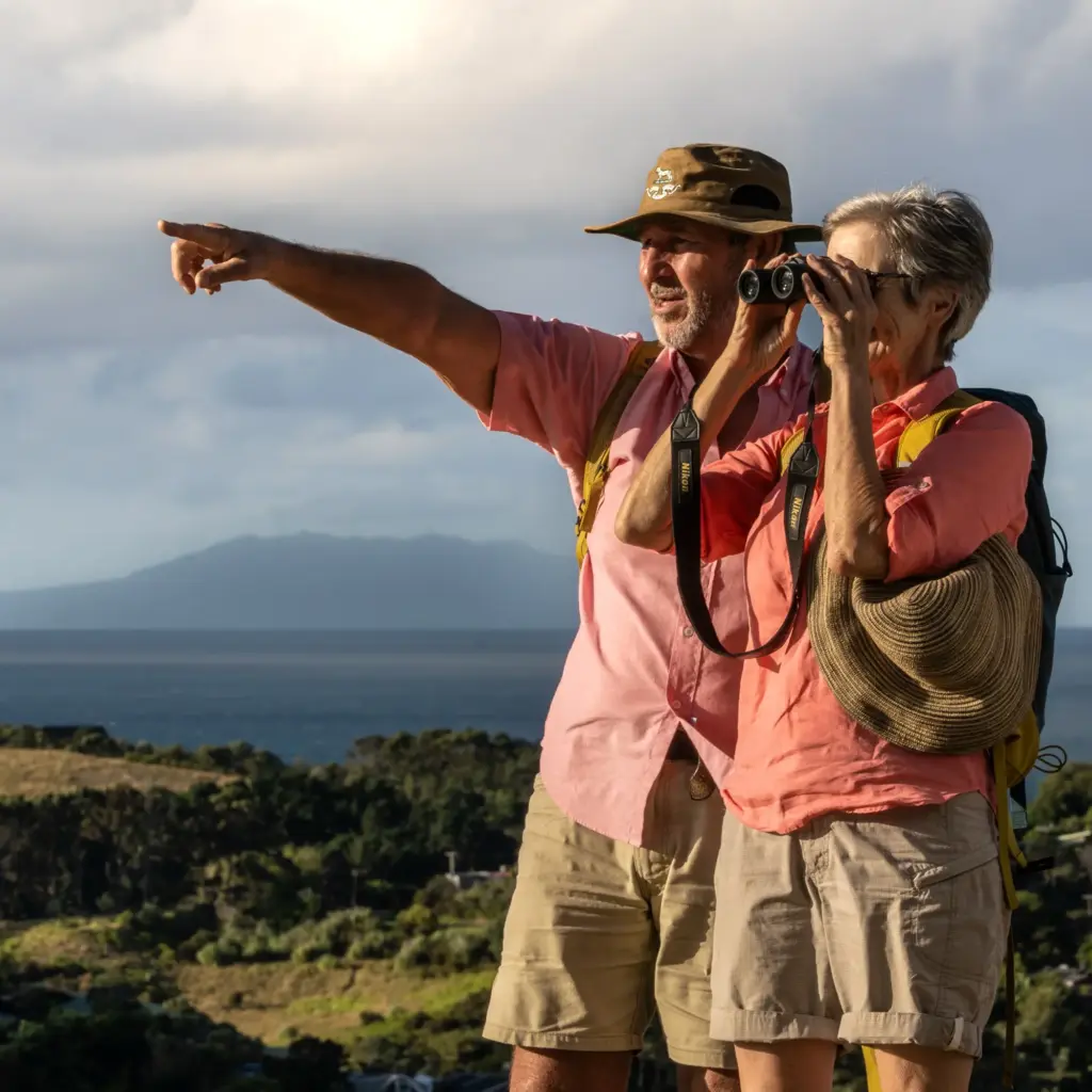 Birdwatching Waiheke, Terra & Tide Private Birding Tour