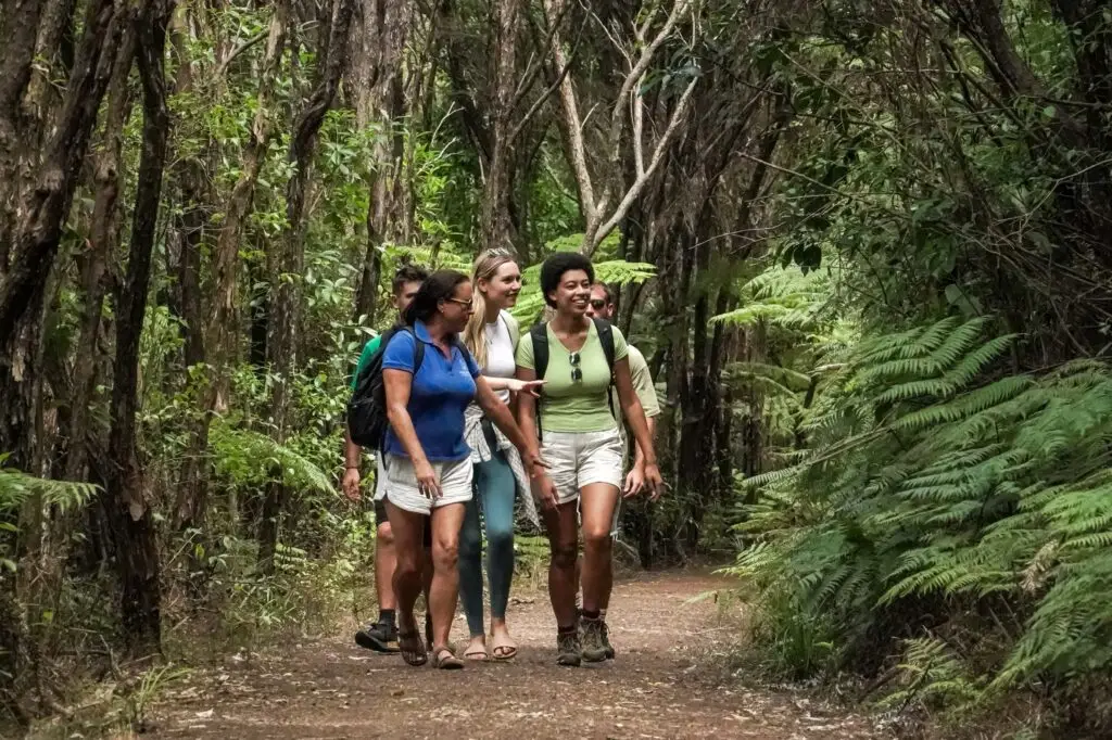 Waiheke Island bush & beach walking tour with Terra & Tide