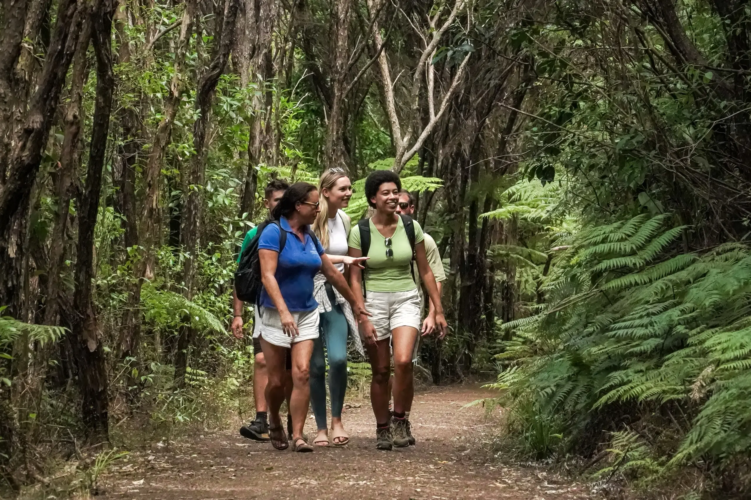 Waiheke Island bush & beach walking tour with Terra & Tide