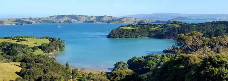 Best Things to Do on Waiheke Island