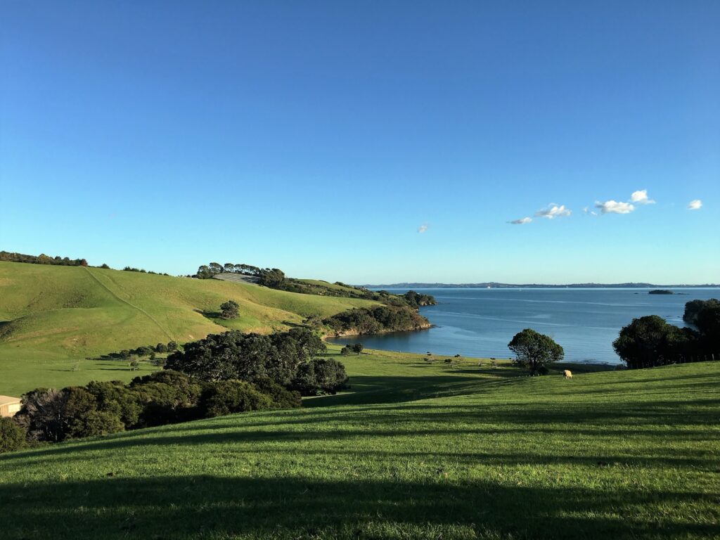 View over Cable Bay vineyards and the Hauraki Gulf, Waiheke Island