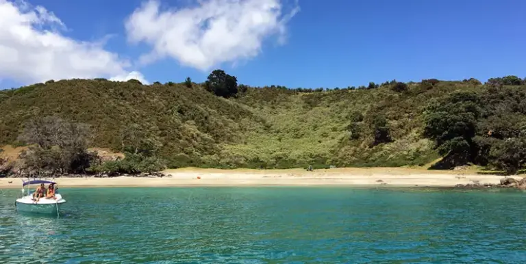 Waiheke and Terra & Tide in the Guardian