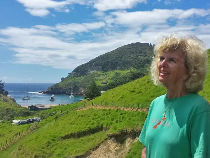 Rakitu Island – an emerging sanctuary
