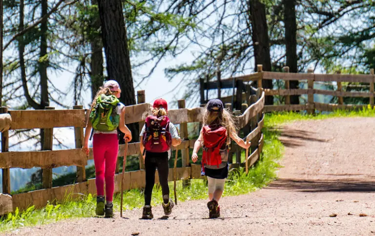 Why you should bring children on a nature walk