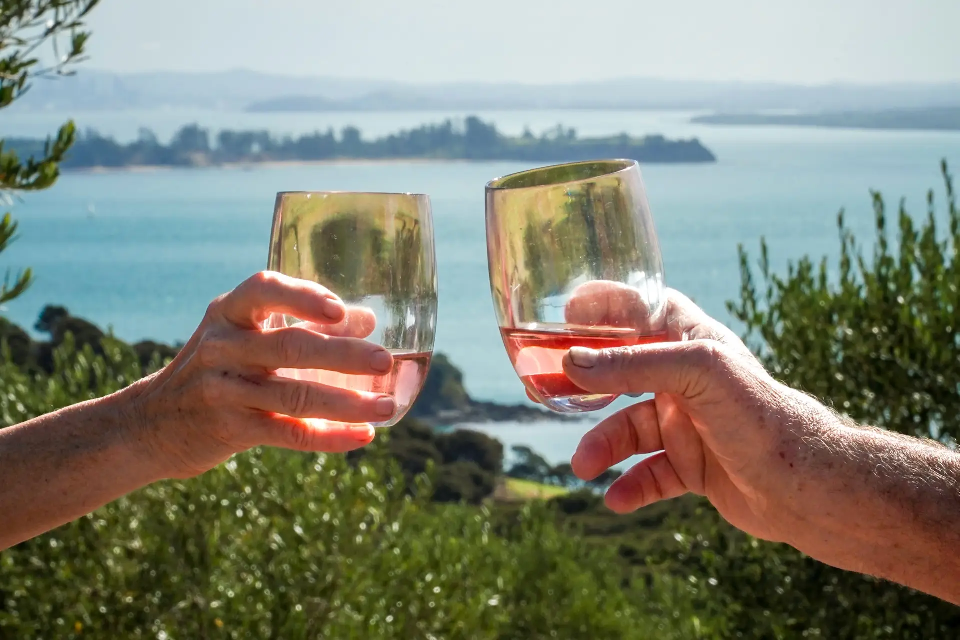 Close Up of Wine Glasses above Mubrick, Terra & Tide Private Waiheke Food & Wine Tour