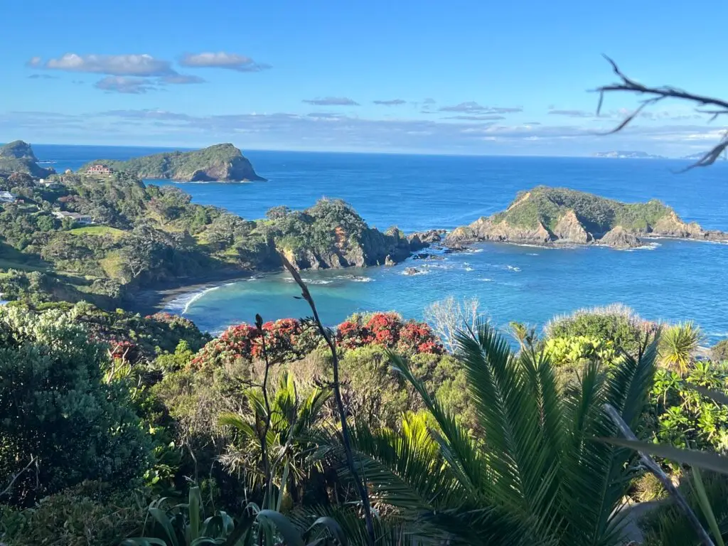Coastline, Terra & Tide Private Tutukaka Explorer Day Tour