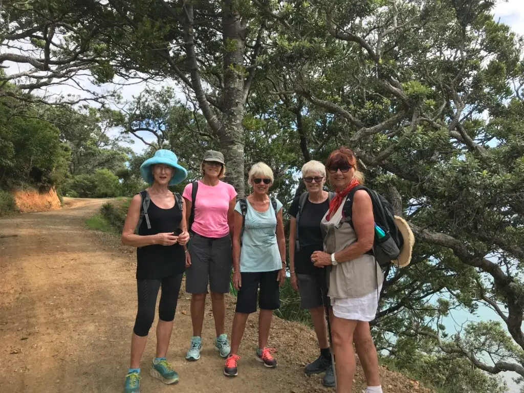 Exploring trails Sandy Bay, Terra & Tide Private Tutukaka Explorer Day Tour