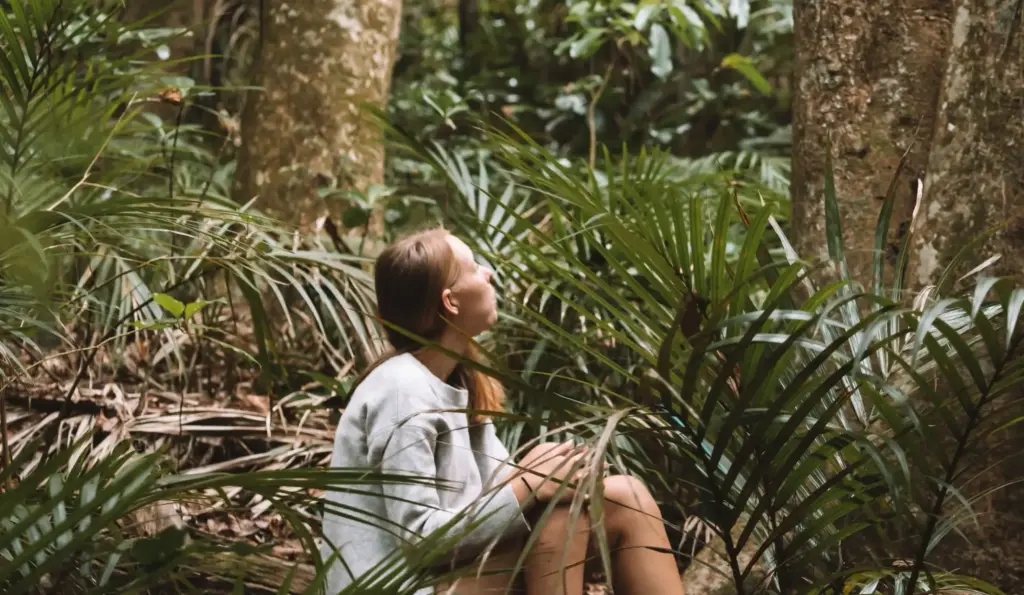 Foresttherapy03 cropped, Terra & Tide Private Forest Bathing Walk