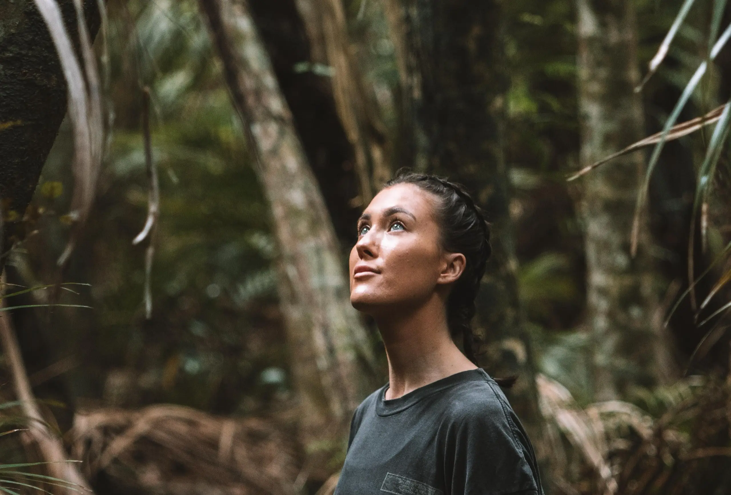 Guided forest bathing walk on Waiheke Island, an Auckland wellness experience with Terra & Tide