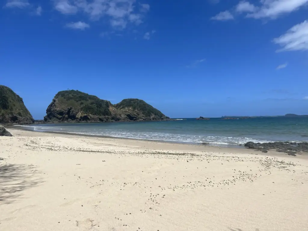 Goat Island and the beach at Ngunguru on the Tutukaka Coast