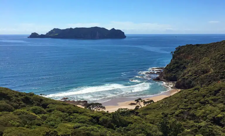 Two Great Barrier trips for women this summer