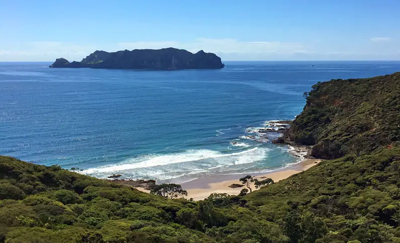 Two Great Barrier trips for women this summer