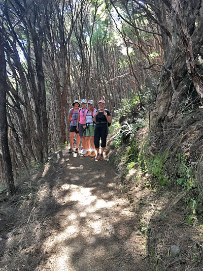 Great Barrier Island with Terra & Tide