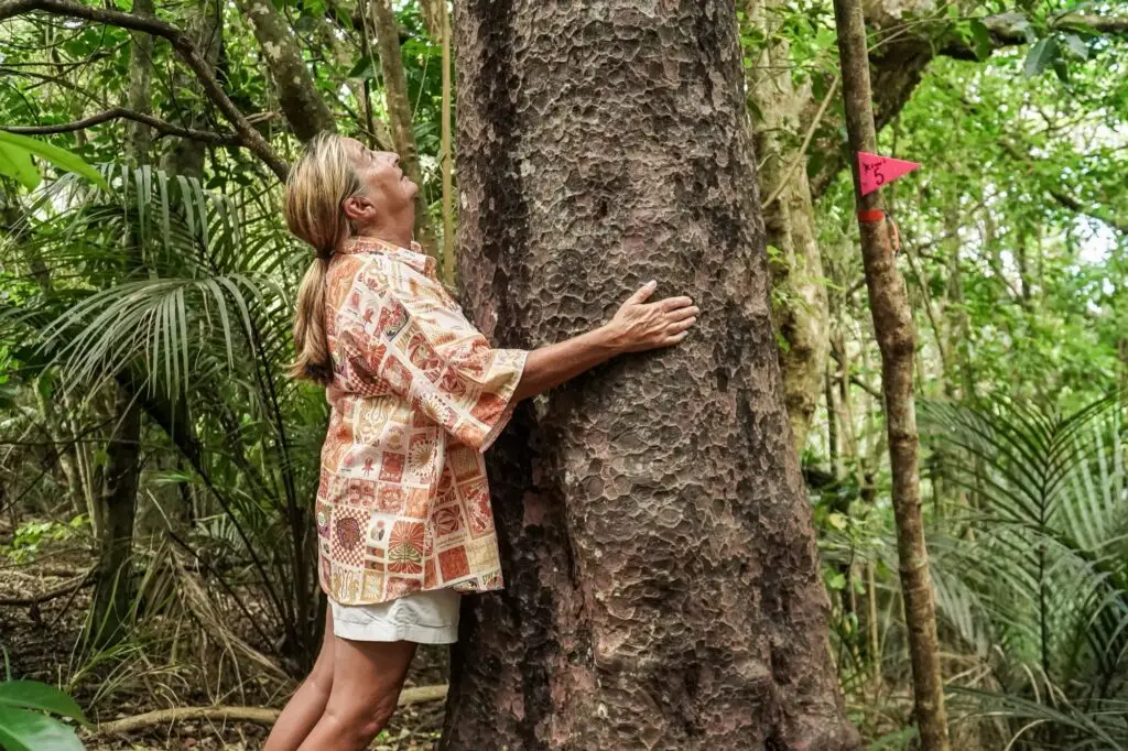Guest Forest bathing with Matai tree, Terra & Tide Bush & Beach Walk