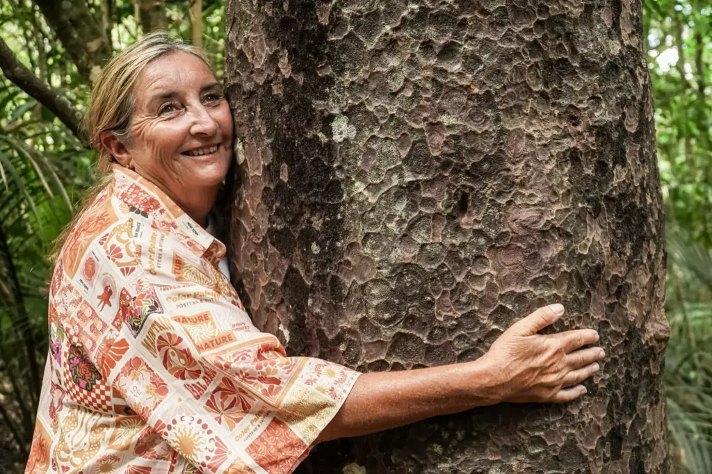 Guest hugging a giant matai tree while forest bathing on Waiheke Island
