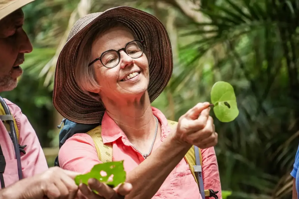 Guest holding a kawakawa leaf on a guided bush walk