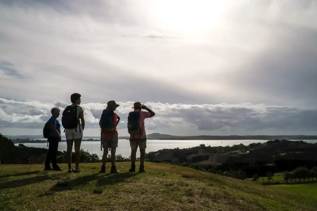 Private group exploring the views to Rangitoto from a Waiheke hilltop