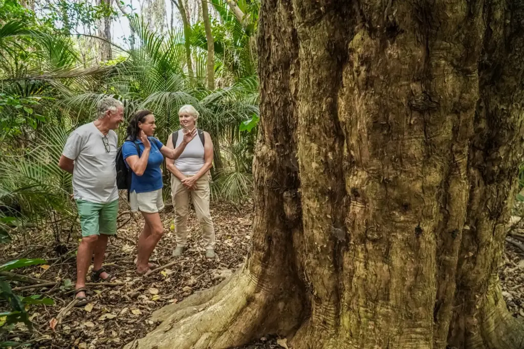 Guide and guests in the Puriri grove, Whakanewha Regional Park