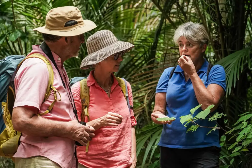 Guests learning about and tasting kawakawa with their guide