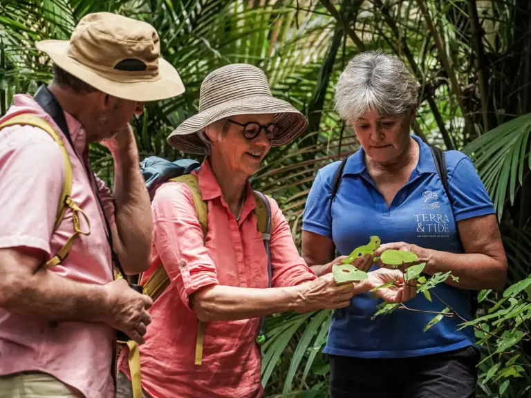Guests tasting kawakawa on the Waiheke History & Heritage Tour, one of Terra & Tide's Auckland heritage tours