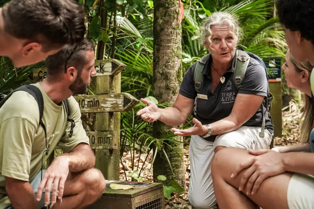 Guests learning about conservation, Terra & Tide Private Waitākere Explorer
