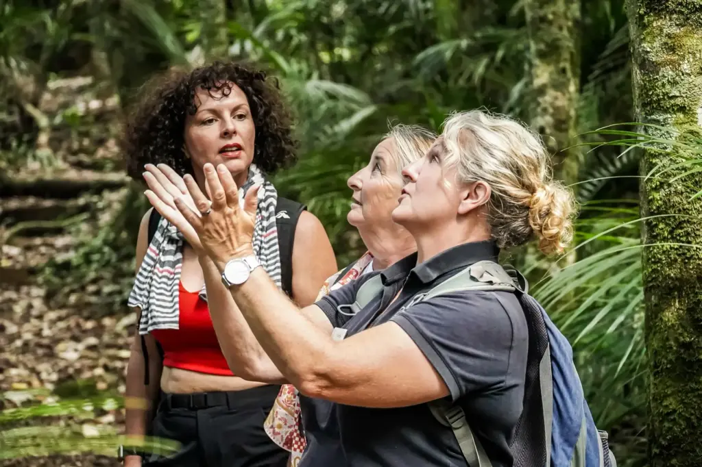 Terra & Tide guide sharing the native forest with guests on a private Waiheke tour