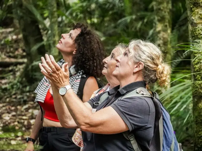 Guide with guests explaining flora and fauna, Terra & Tide Bush & Beach Walk