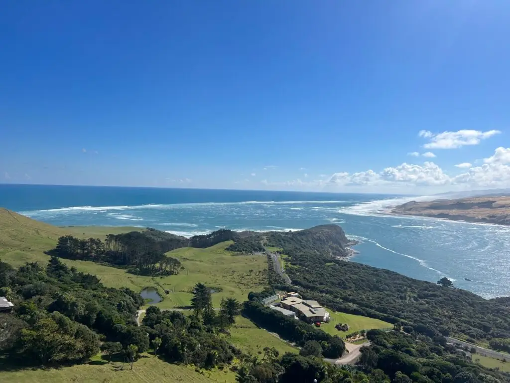 Harbour entrance view, Terra & Tide Private Hokianga Explorer Day Tour