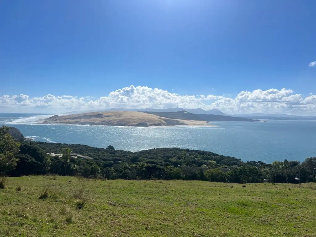 Harbour entrance view, Terra & Tide Private Hokianga Explorer Day Tour