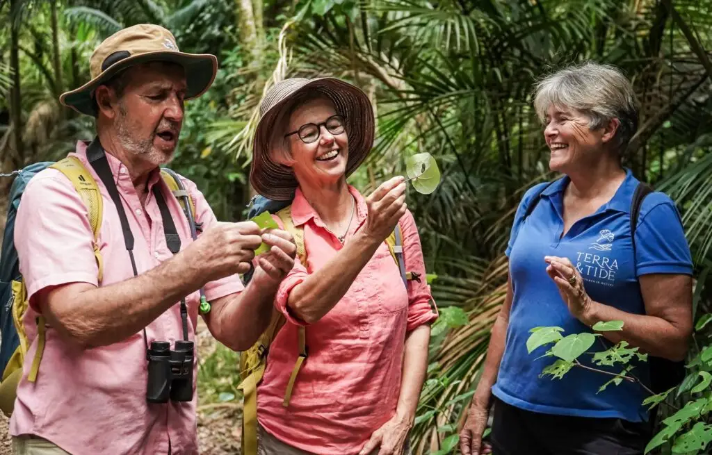 Learning about Kawakawa, Terra & Tide Bush & Beach Walk