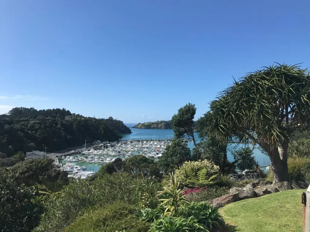 Marina and harbour view, Terra & Tide Private Tutukaka Explorer Day Tour