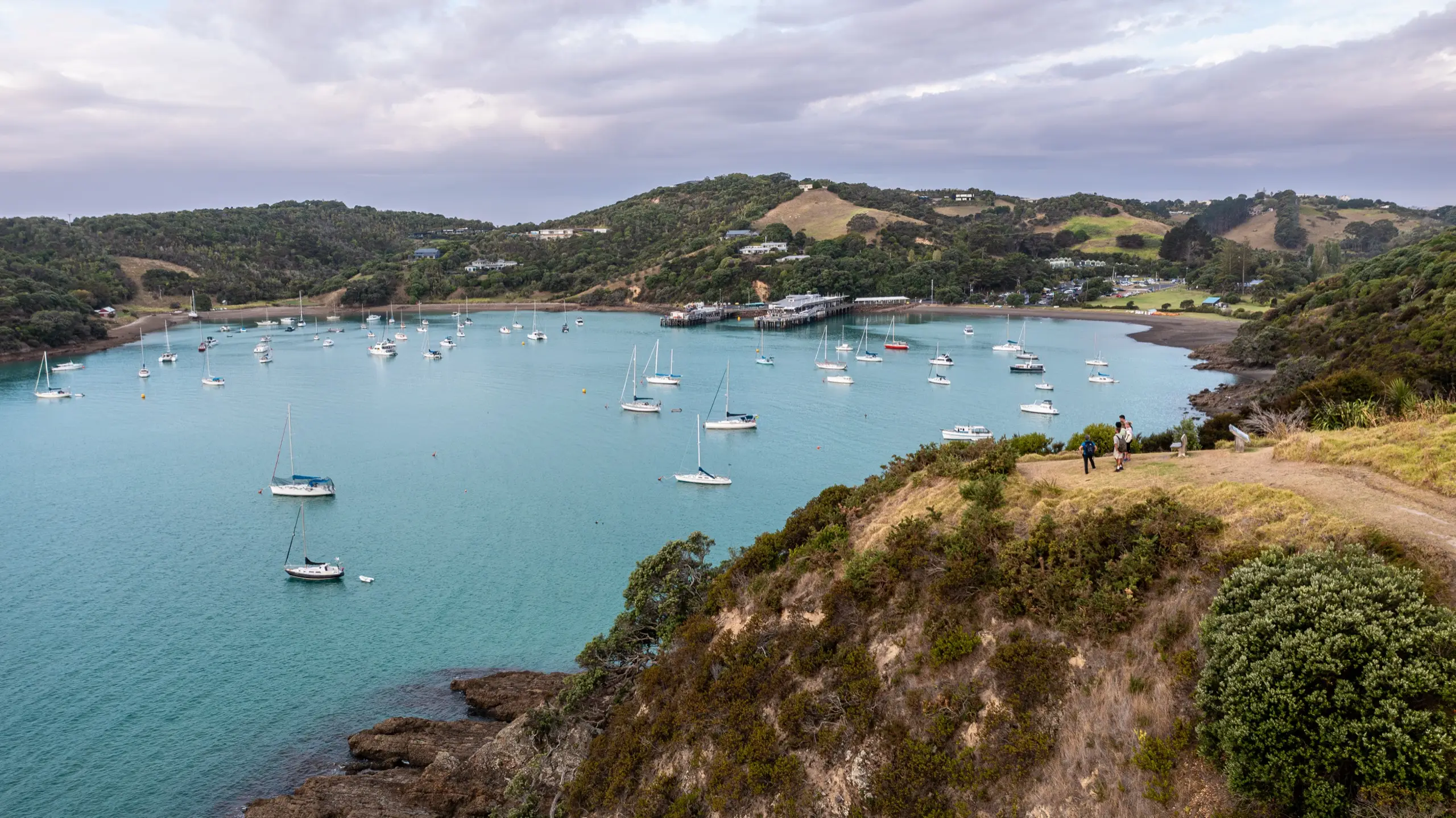 Walkers above Matiatia Bay on the Waiheke Private Double Headland Walk with Terra & Tide