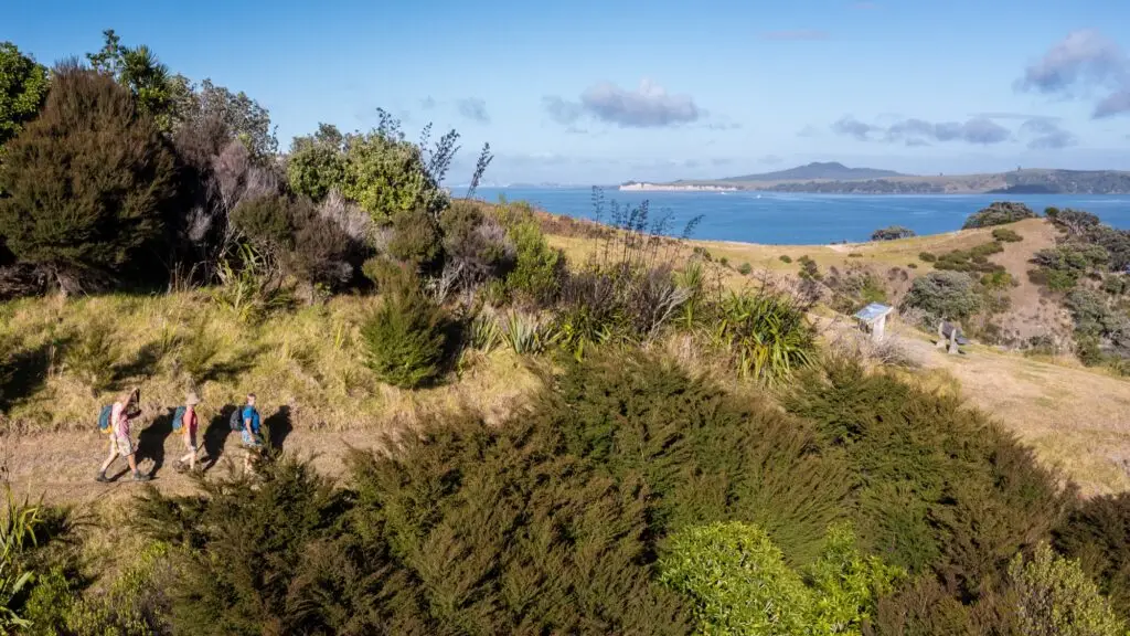 Matiatia Headland walking looking out to Auckland, Terra & Tide Vineyards & Bush Walk